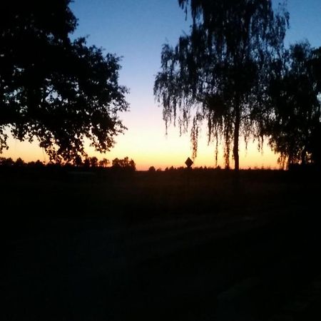 Entspannen & Wohlfuehlen In Der Lueneburger Heide Vierhofen 外观 照片