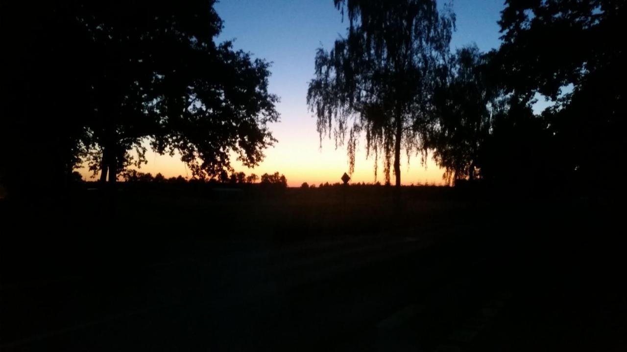 Entspannen & Wohlfuehlen In Der Lueneburger Heide Vierhofen 外观 照片
